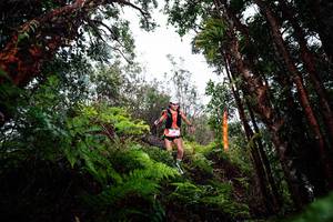 BIB: 
                            <button type="button" onclick="openModal(26204977)" class="btn btn-primary btn-sm float-right btn-popup" data-toggle="modal" data-target=".modal-high-quality">
                        <i class="fas fa-shopping-cart"></i> Add to Cart
                    </button>
                                            <button type="button" onclick="isThisMe(26204977, true)" class="btn btn-success btn-sm float-right btn-popup btn-isme hidden" data-toggle="tooltip" data-placement="bottom" title="นี่คือรูปของคุณใช่ไหม คลิกที่นี่เพื่อเอาเข้าอัลบั้ม">
                        <i class="fas fa-plus"></i> Add to album
                    </button>
                    <button type="button" onclick="isThisMe(26204977, false)" class="btn btn-warning btn-sm float-right btn-popup btn-isnotme hidden">
                        <i class="fas fa-ban"></i> Remove from album
                    </button>